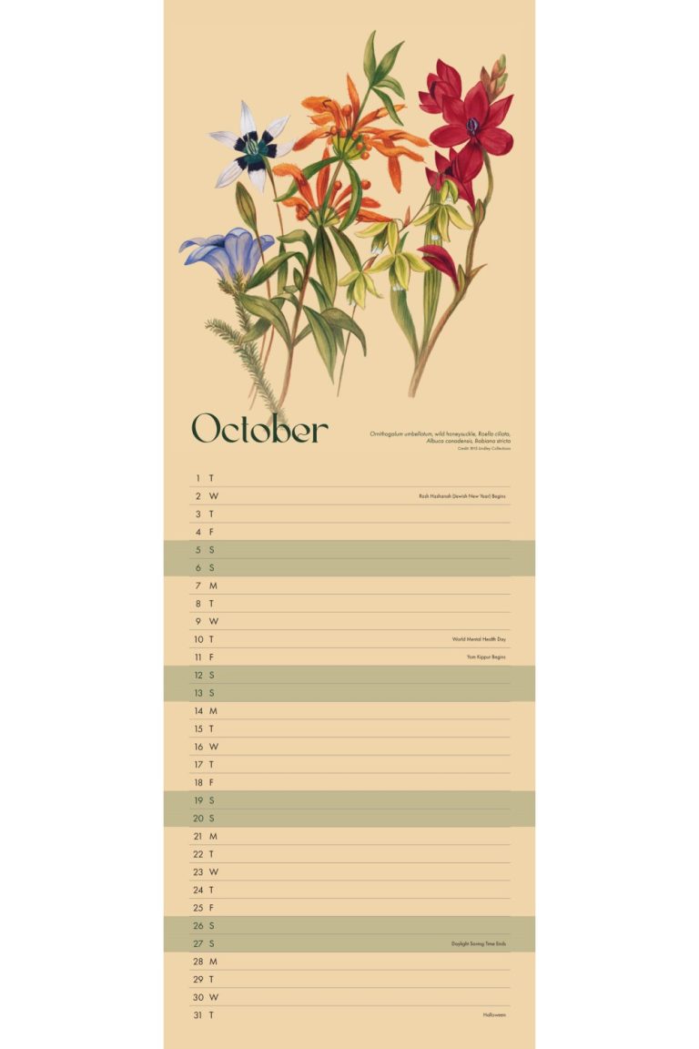 RHS Fruit and Flowers Slim Wall Calendar 2025 Grange Communications