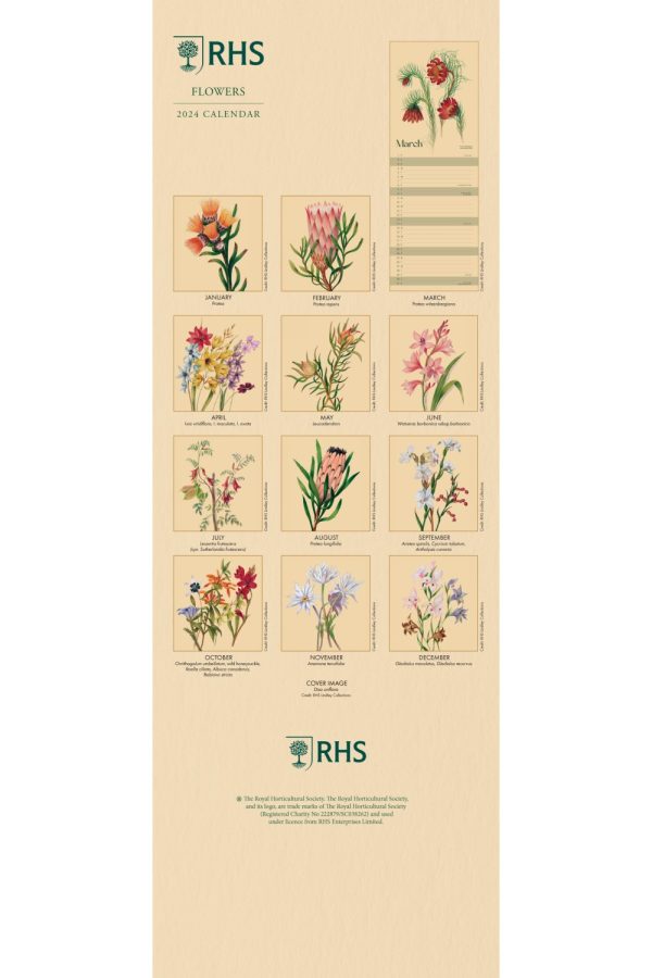 RHS Fruit and Flowers Slim Wall Calendar 2025 Grange Communications