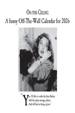 On The Ceiling 2026 Square Wall Calendar