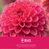 Royal Horticultural Society (RHS) A5 Diary 2026